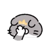 Dog egg cat cat 6