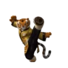 Kung Fu Panda 13