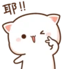 @mochipeachcats 16