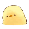 Soft and cute chick 16