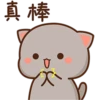 @mochipeachcats 19