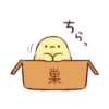 Soft and cute chick 17