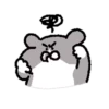 Dog egg cat cat 11