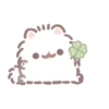 Pomeranian Mochi 18