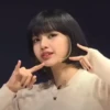 lisa 13