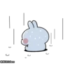 Spoiled Rabbit Feelings Animation 18