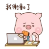 肉肉豬 8 14