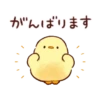 Soft and cute chick 19