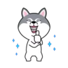 Hyper Dog 22