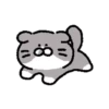 Dog egg cat cat 13