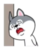 Hyper Dog 23
