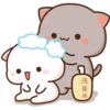 @mochipeachcats 23
