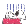 Peanuts 20