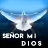 cristianos 10 26