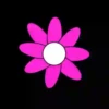 Flowers🌼🌺⛧1🇪🇸Movi 24