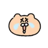 Dog egg cat cat 16
