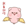 肉肉豬 8 16