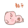 肉肉豬 8 17