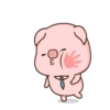 肉肉豬 8 18