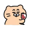 Dog egg cat cat 17