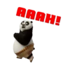 Kung Fu Panda 18