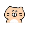 Dog egg cat cat 19