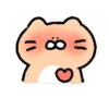 Dog egg cat cat 20