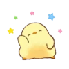 Soft and cute chick 22