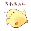 Soft and cute chick 23
