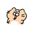 Dog egg cat cat 22