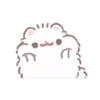 Pomeranian Mochi 21