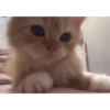 kkkkiiitttyyy :: @fStikBot 26