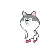 Hyper Dog 25