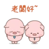肉肉豬 8 20