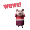 Kung Fu Panda 21