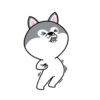 Hyper Dog 26