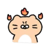 Dog egg cat cat 27