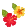 Flowers🌼🌺⛧1🇪🇸Movi 30