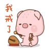 肉肉豬 8 22