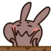 Coffee Rabbit Mov 18