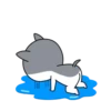 Hyper Dog 29