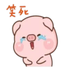 肉肉豬 8 23