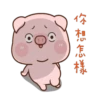 肉肉豬 8 24