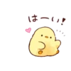 Soft and cute chick 24
