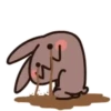 Coffee Rabbit Mov 19