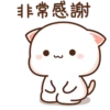 @mochipeachcats 29