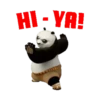Kung Fu Panda 23