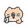 Dog egg cat cat 30