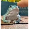 Frogggs 5