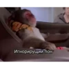 обезьRни пон :: @fStikBot 7
